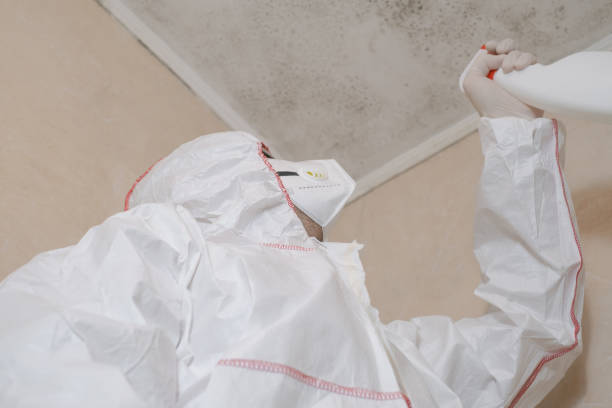 Irmo, SC Mold Remediation Company